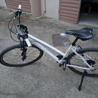 bicicletta Lombardo Amantea 100