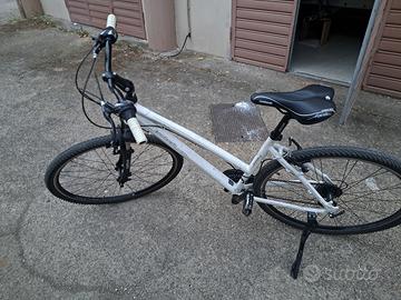 bicicletta Lombardo Amantea 100