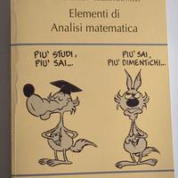 Elementi di analisi matematica M. Bertsch