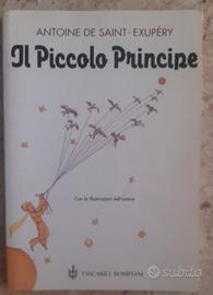 Il piccolo principe