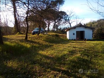 Annesso agricolo con terreno circostante