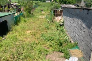 Pulizia terreno agricolo