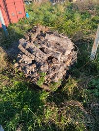 Legna di ulivo stagionato per cucinare,per ardere