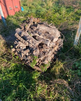 Legna di ulivo stagionato per cucinare,per ardere