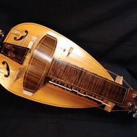 Ghironda cassa a liuto Sergio Verna