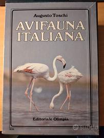 Avifauna Italiana 3 volumi