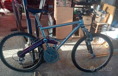 MTB sintesi verlicchi