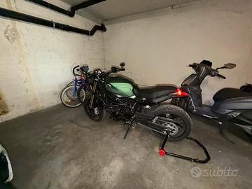 Benelli Leoncino 800 2022