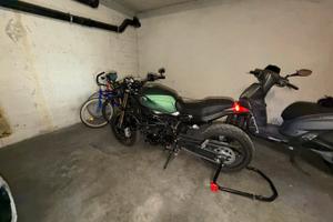 Benelli Leoncino 800 2022