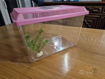 Acquario per pesci o tartarughe 