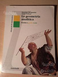 La geometria analitica Zanichelli matematica libro