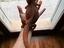 Immagine 1