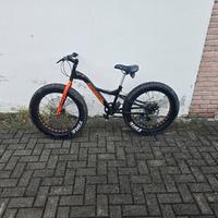 Fat Bike/mountain bike
