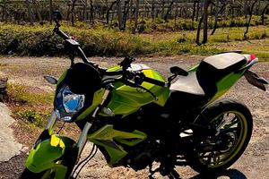 Benelli BN 125 - Verde 2022