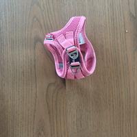 Pettorini e maglioncino