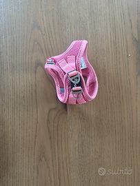 Pettorini e maglioncino