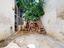Immagine 17
