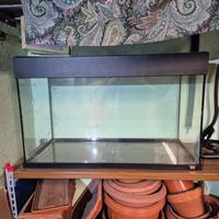 Juwel 125 Litri acquario