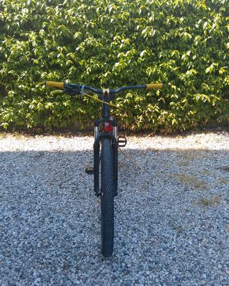 Orbea whellie bike