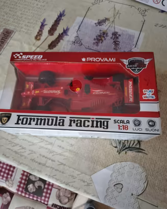 Due modelli auto formula 1