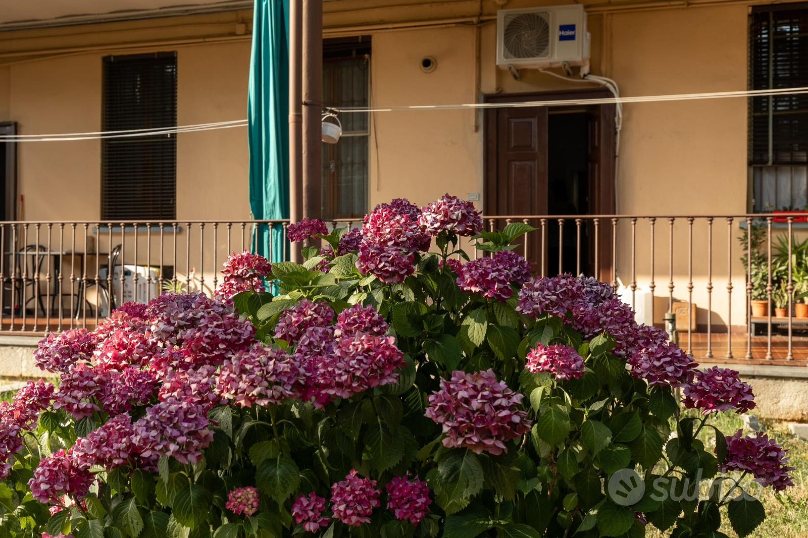 Appartamento – Rozzano, Cassino Scanasio - Vista 2