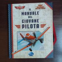 Il manuale del giovane pilota 