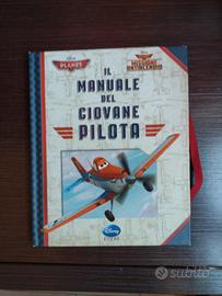 Il manuale del giovane pilota 