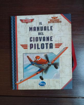 Il manuale del giovane pilota 