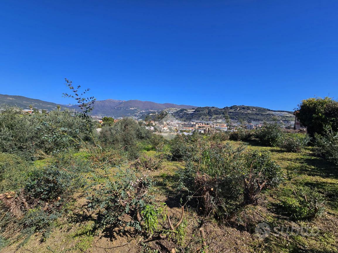 TER. AGRICOLO A TAGGIA - Vista 4
