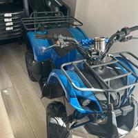 QUAD elettrico