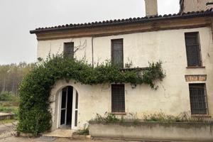 Loghino a 10 minuti dalla città e terreno