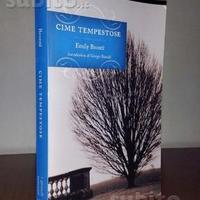 Libro Cime tempestose