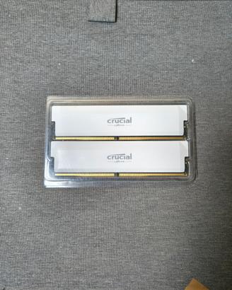 KIT RAM DDR5 CRUCIAL PRO 32GB (2X16) 6000MHZ CL36