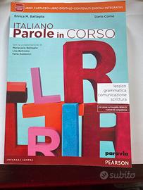 Parole in corso