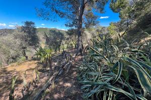 Villacidro terreno con ricovero attrezzi