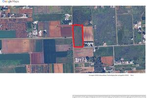 Terreno Agricolo Manduria [Cod. rif 3231537VCG]