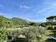 Immagine 8