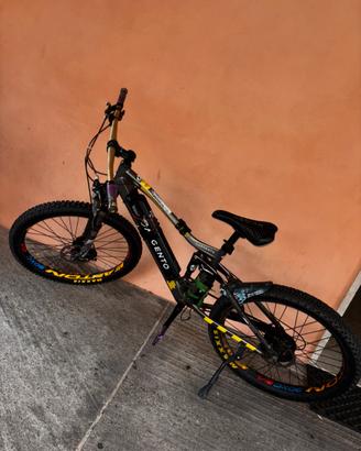 Bici elettrica