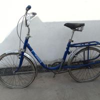 2 pieghevoli 22" e 14"