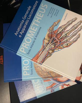 Atlante di Anatomia Prometheus