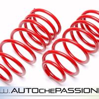 Kit molle sportive Ta Tecnix per Peugeot 206 98 06