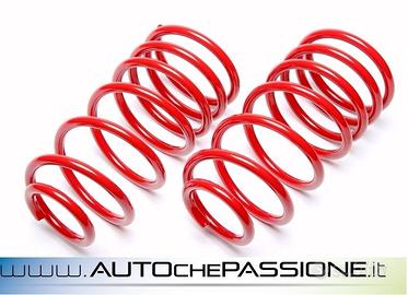 Kit molle sportive Ta Tecnix per Peugeot 206 98 06