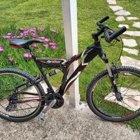 Mountain bike biammortizzata