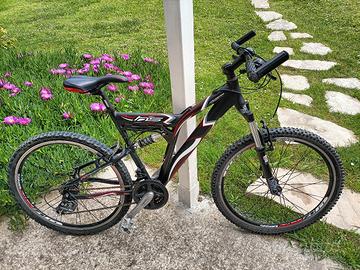 Mountain bike biammortizzata