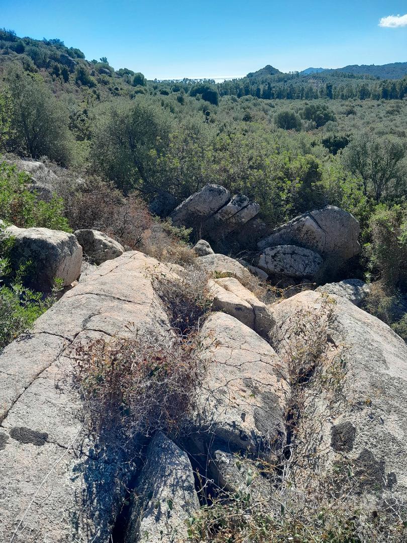 Terreno agricolo di 10 ettari circa - Vista 5