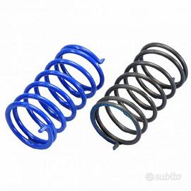 Kit molle contrasto ciclomotori Piaggio Gilera - P