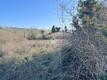 TER. AGRICOLO A RIMINI