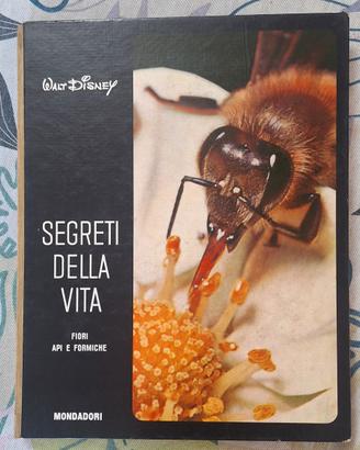 libro Walt Disney 