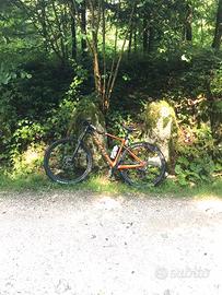 Bicicletta Mtb in carbonio