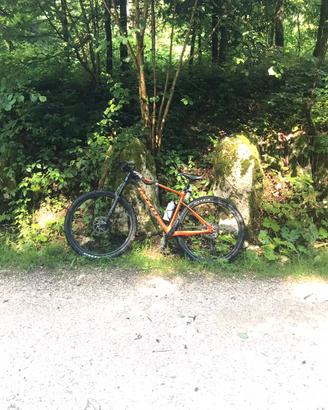 Bicicletta Mtb in carbonio
